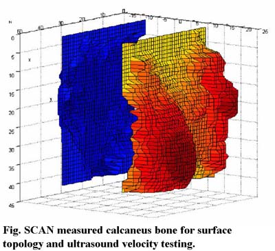 Surface Topology Mapping For Acoustic Scanning